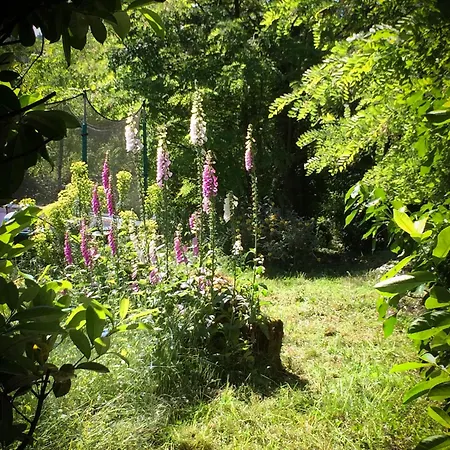 Le Betet בית נופש Espas