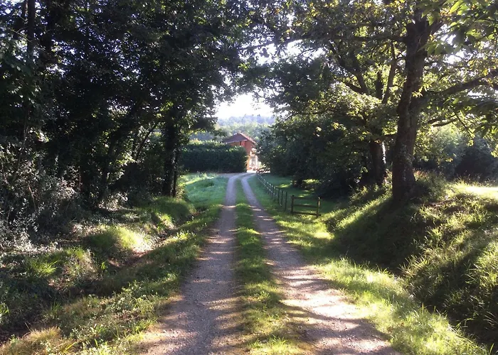 Le Betet 펜션 Manciet