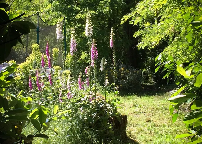 Le Betet 펜션 Manciet